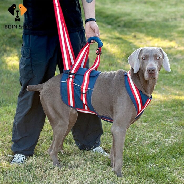 2021 New Pet Dog Traction Belt Disabled Dog Chest Strap Elderly Dog Auxiliary Strap Recovery Supplies.jpg