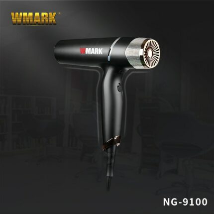 2022 New Brushless Motor Hot Cold Air Hair Dryer Ng 9100 Anion Hair Dryer Quick Drying 1