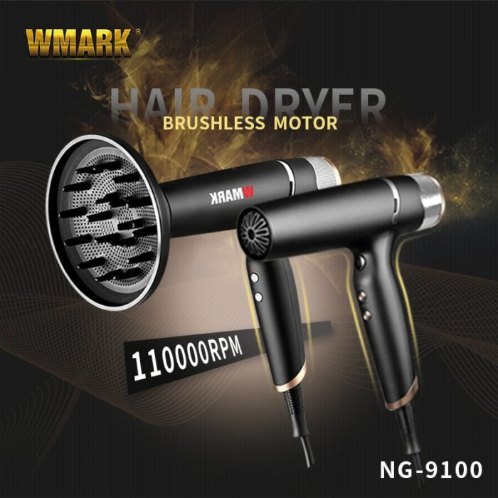 2022 New Brushless Motor Hot Cold Air Hair Dryer Ng 9100 Anion Hair Dryer Quick Drying 2