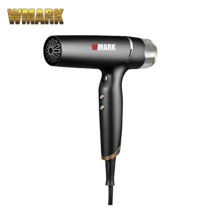 2022 New Brushless Motor Hot Cold Air Hair Dryer Ng 9100 Anion Hair Dryer Quick Drying