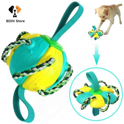 Dog Chew Balls Pet Toy Football Multifunctional Dog Soccer Outdoor Interactive Dog Training Toys Clean Teeth 6.jpg
