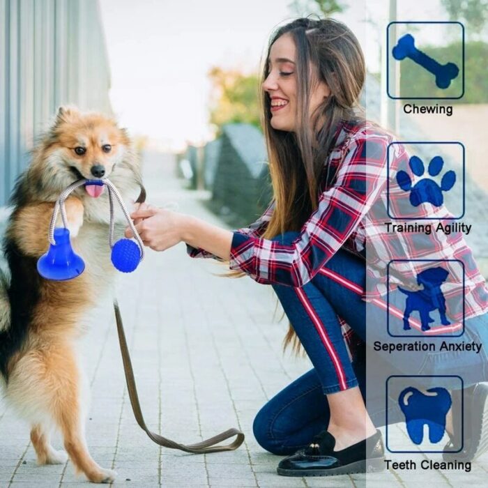 Interactive Suction Cup Dog Toy Dog Chew Toy Self Playing With Elastic Rope Dogs Tooth Cleaning 1.jpg