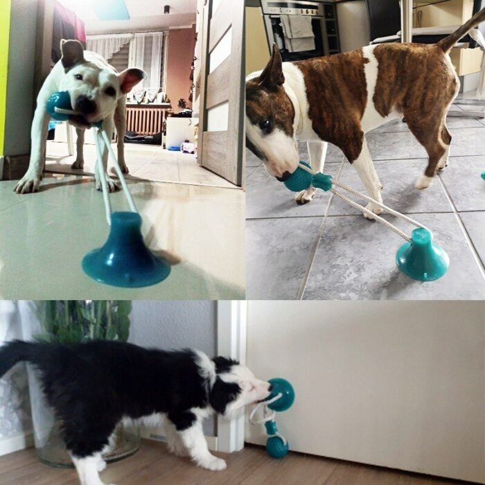 Interactive Suction Cup Dog Toy Dog Chew Toy Self Playing With Elastic Rope Dogs Tooth Cleaning 4.jpg