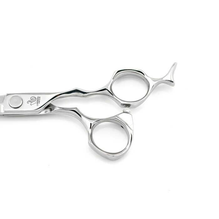 Japan Hair Shears 6 Inch Hair Cutting Scissors 9cr13 Bearing Screw Fish Tail Handle F29 Lyrebird 4