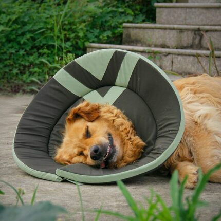 Pet Adjustable Elizabethan Collar Dog Wound Care Headgear Collar Anti Licking Ring Sterilization Anti Scratch Pet 1.jpg