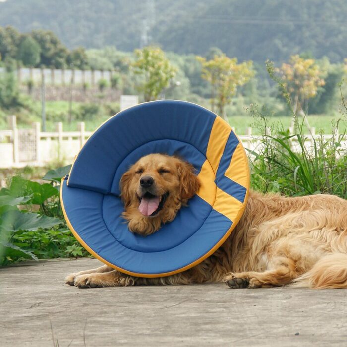 Pet Adjustable Elizabethan Collar Dog Wound Care Headgear Collar Anti Licking Ring Sterilization Anti Scratch Pet 2.jpg