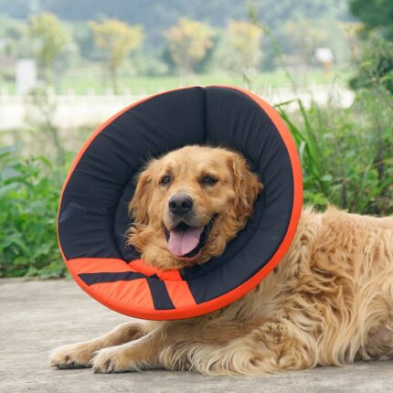 Pet Adjustable Elizabethan Collar Dog Wound Care Headgear Collar Anti Licking Ring Sterilization Anti Scratch Pet.jpg