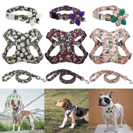 Printed Dog Leash Collar Leash Features Personalized Dog Collars For Medium Sized Large Dogs French Bulldog.jpg