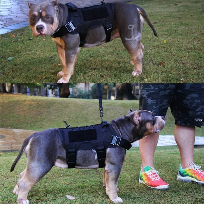 Tactical Dog Harness No Pull Pet Harness Vest Clothes Adjustable Safety Things For Medium Large Dogs 5.jpg